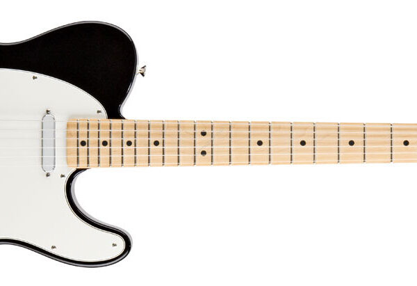 Fender Standard Telecaster MN BK