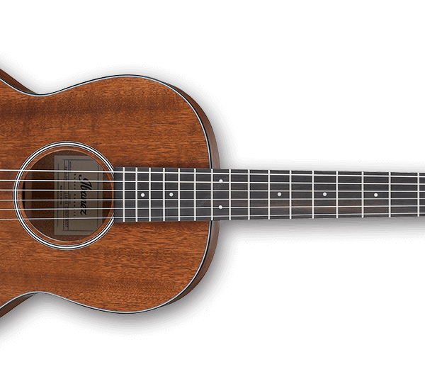 Ibanez AVN9-OPN | Gitara akustyczna