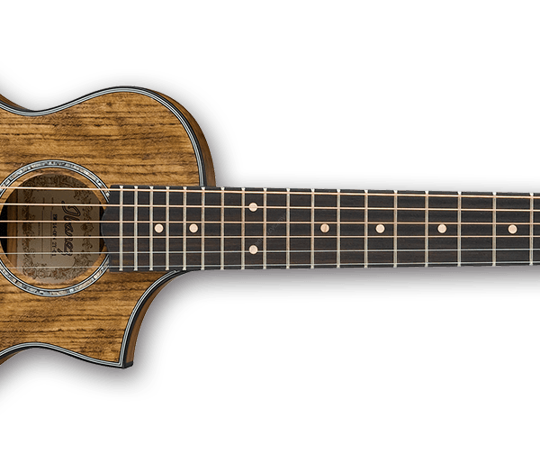 Ibanez EWP14WB-OPN | Gitara akustyczna piccolo