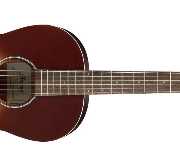 Ibanez PN19-ONB | Gitara akustyczna typu Parlor